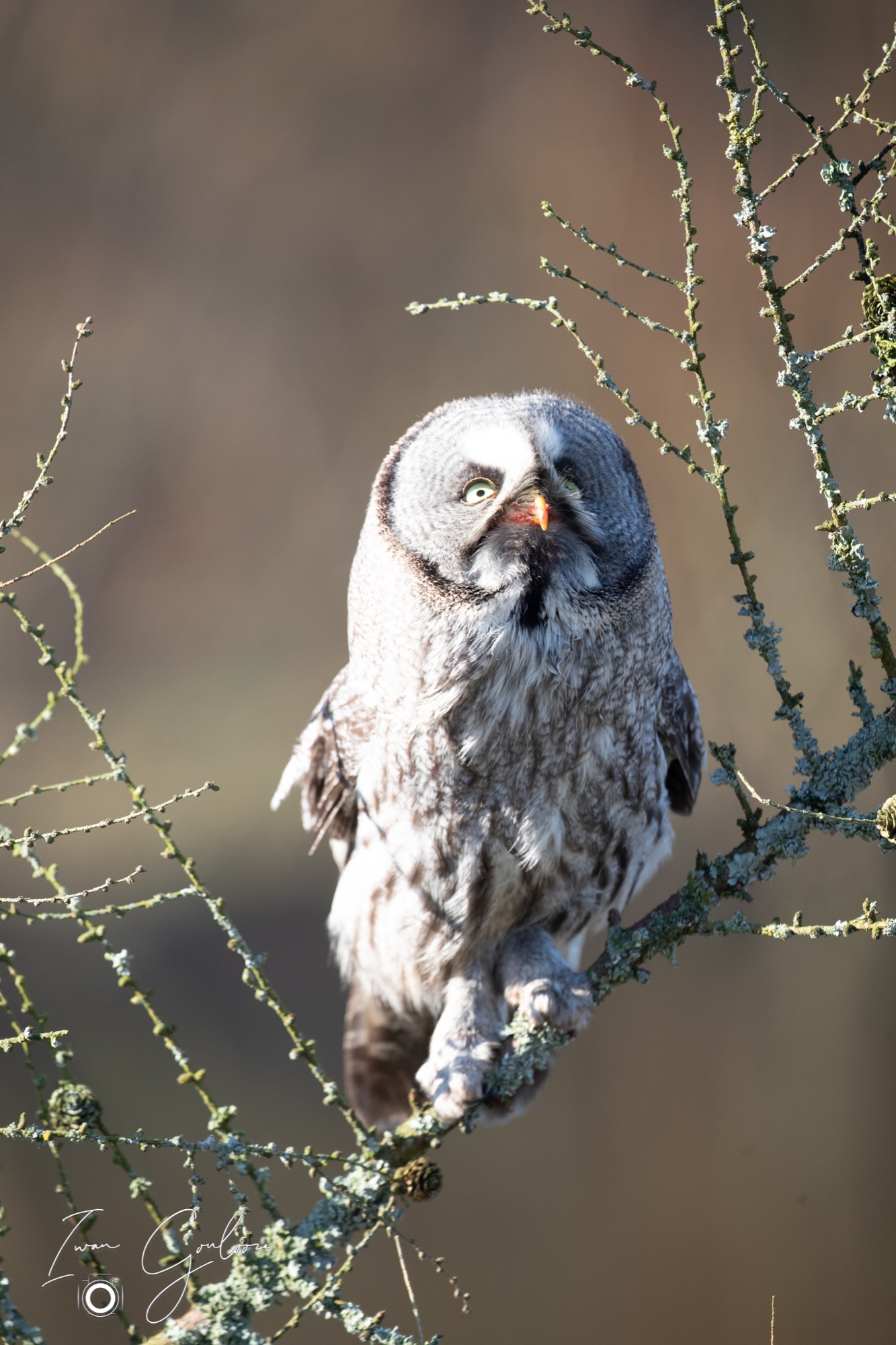 04 maart 2022 153819 1DX44068